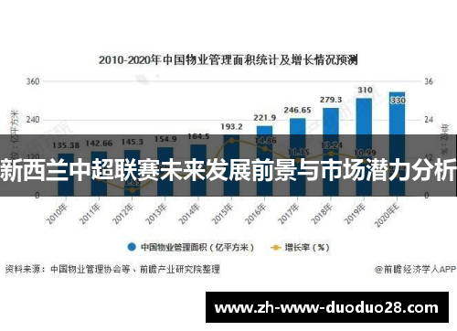 新西兰中超联赛未来发展前景与市场潜力分析
