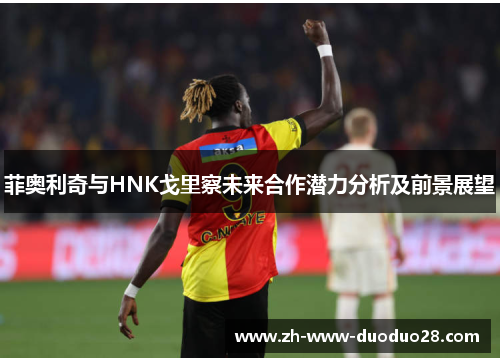 菲奥利奇与HNK戈里察未来合作潜力分析及前景展望